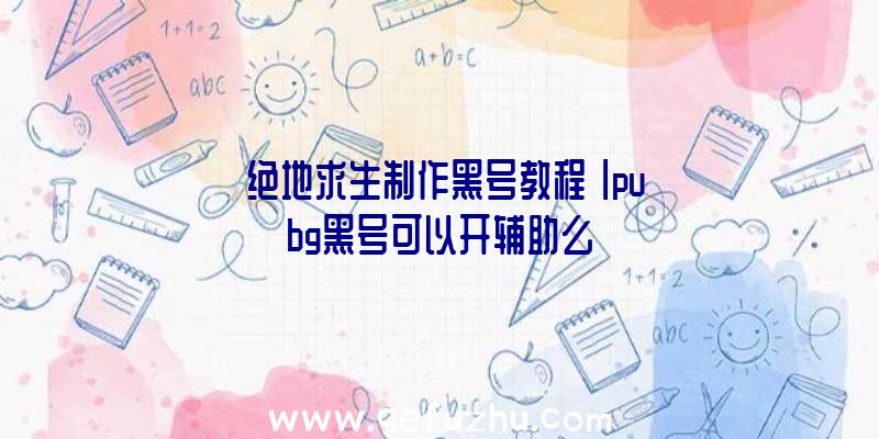 「绝地求生制作黑号教程」|pubg黑号可以开辅助么